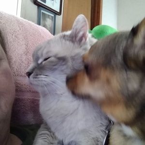 Meet your Posher, Maxine